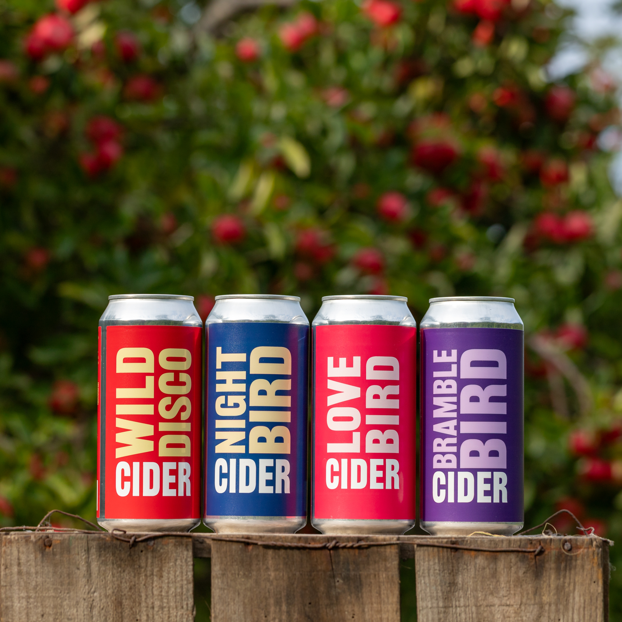 Nightingale Cider Company Celebrates Multiple Wins at the 2025 ...