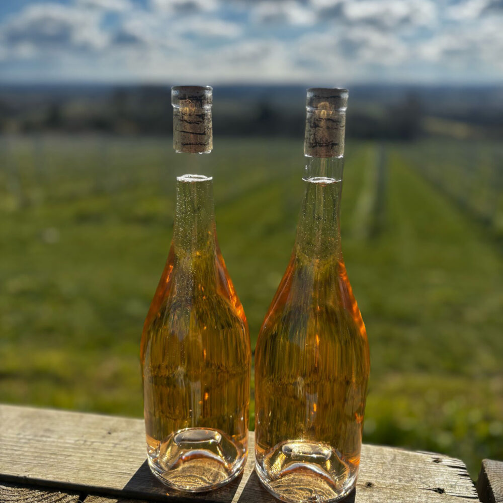 Ragstone Ridge Spring has arrived at Ragstone Ridge - Produced in Kent