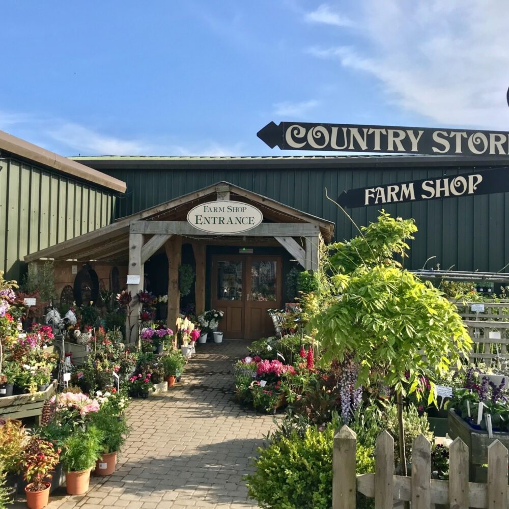 Hartley Dyke Celebrate 20 Years with new Identity Produced in Kent