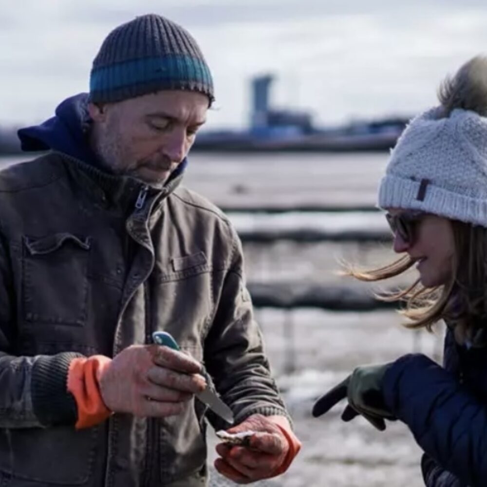 Whitstable Oyster Farm Tours Produced in Kent