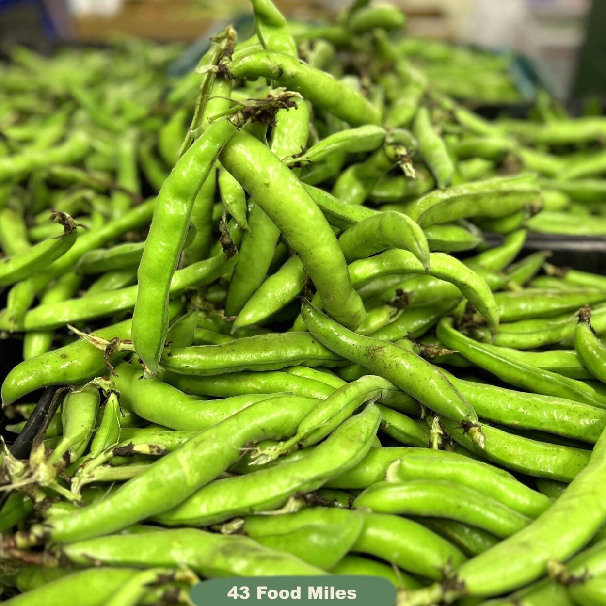 June Kent Produce Update from Kent Veg Box Produced in Kent