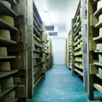 Cheesemakers of Canterbury cheese shelves