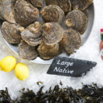 Whitstable Oysters 1505491697595