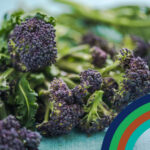 April 26 Discovery Box Sq PSB