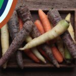 August 26 Disco heritage carrots