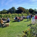 Brabourne Open Vineyard 2026 b