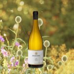 Brabourne Vineyard 2023 Albermarle Chardonnay garden background