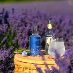 Castle Farm Lavender Gin 7