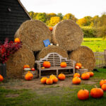 Castle Farm 024 2893