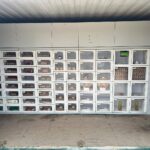 Egg Macine vendign machine