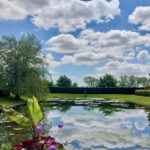 Godinton House lily pond