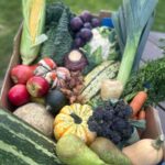Groombridge October produce 25 b