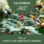 Herbert and Ward Columbian Jazz