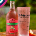 July 26 Discovery Box Biddenden strawberry and mint cider