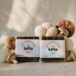 Luma chocolate mushroom original duo