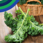 March 26 Discovery Box Kale