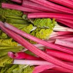 My Farmers market rhubarb april 26