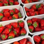 Myatts of Mockbeggar Strawberries