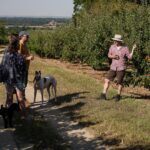 Nightingale Cider Tour