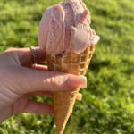 Plurenden Ice Cream 2