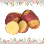 Potato Shop 04 April 2025 Flavour of the Month Celebration