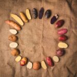 Potato Shop December Flavours Newsletter Custom