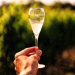 Simpsons Vineyard Tour 4 danwiltonphoto Fotor