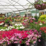 Spadework Page 8 and 9 Garden Centre Plants Custom