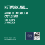 Square Network And Castle Farm