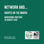 Square Network And Grapes on the Marsh