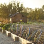 THE PIG Jan Feb2025 Jake Eastham 11 Custom