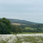 T Rales of the unexpected mothers day 25