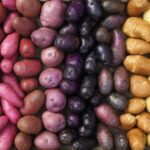 The Potato Shop Flavour of the Month Feb 26