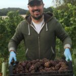 Wayfarer 09 07 09 23 September img