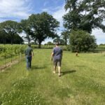 White Horse Wine Tours Warehorne tour from behind plus dog