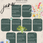 Wildshark English Wine Week 25