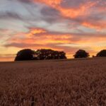Morghew park estate red sky landscape sunset