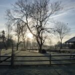 Winters morning 001