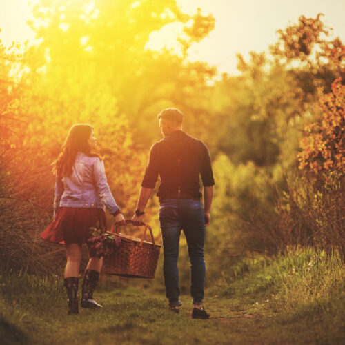 06 June generic picnic golden hour