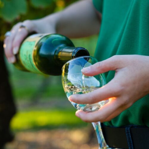 Biddenden Vineyards Ortega Tasting