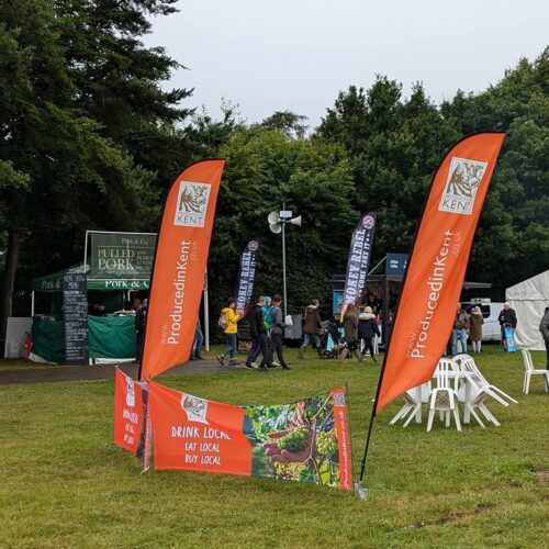 449728827 972428124892985 1353778168423062577 n