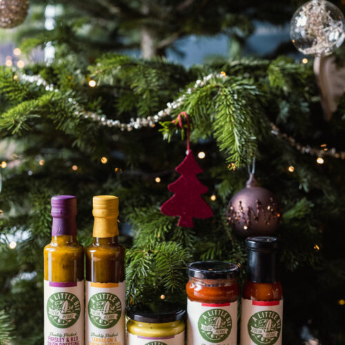 A Little Bit 20221214 865 A9691