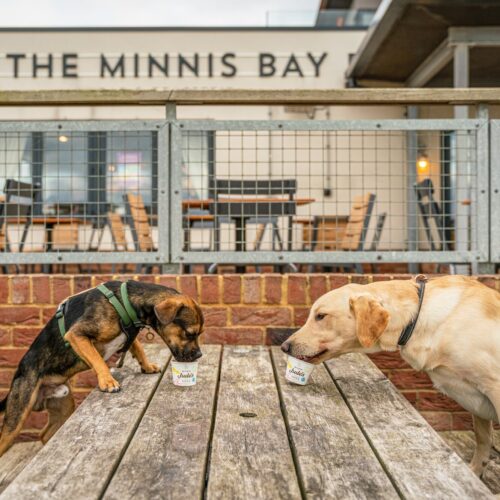 A pawsitively delicious dog treat the refreshing 100ml tub is strawberry apple and banana flavoured Sq