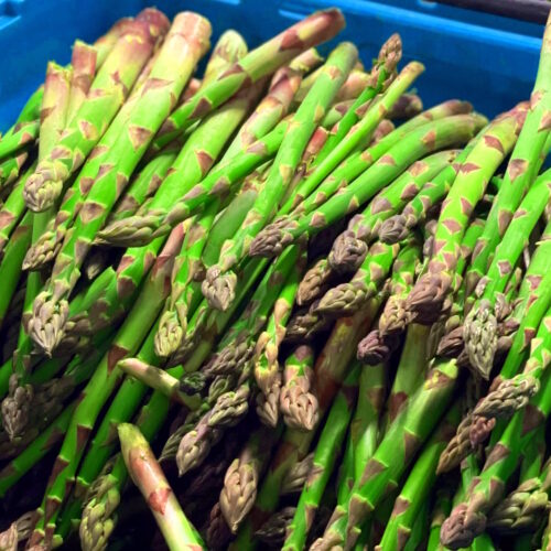 ASPARAGUS loose cropped Kent Veg Box
