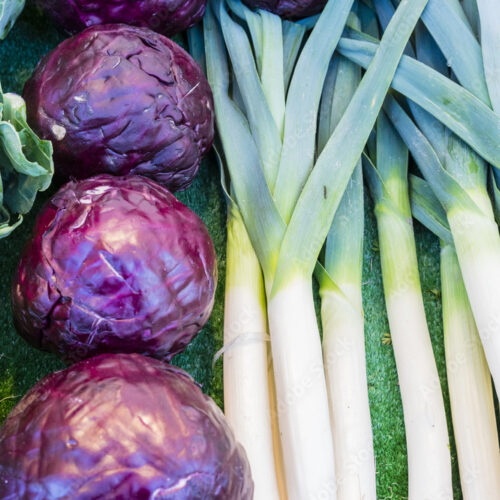 Adobe Stock 110922877 Preview