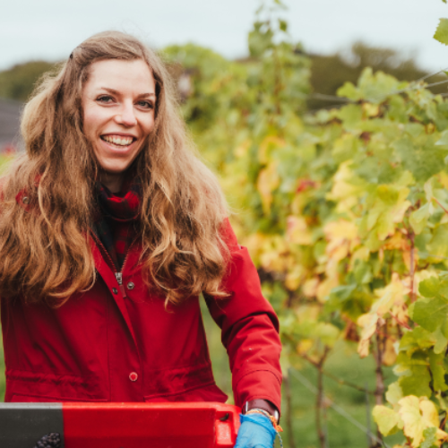 Balfour Harvest day 23 2