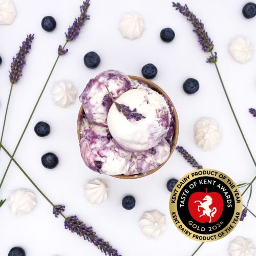 Bears Ice Cream TOKA Win Blueberry Lavender