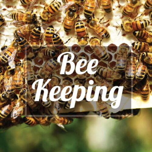 Bee Keeping 207 21x207 21