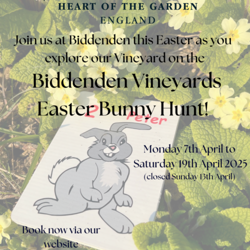 Biddenden Bunny Hunt Graphic