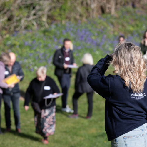 Biddenden Bunny Hunt Networking
